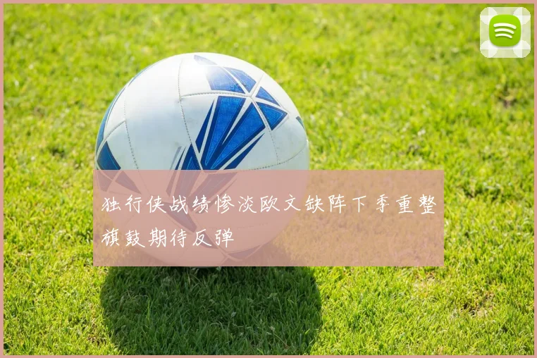 独行侠战绩惨淡欧文缺阵下季重整旗鼓期待反弹